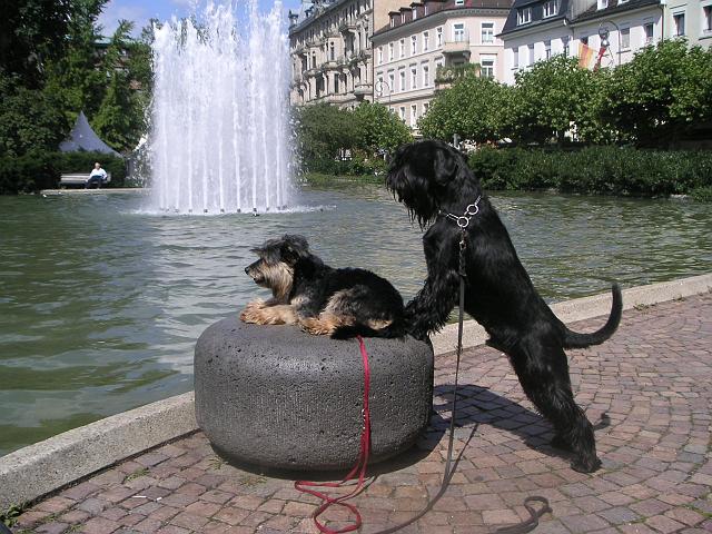 Bild 4170.jpg